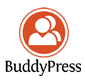 Buddypress CMS website design in Somerset