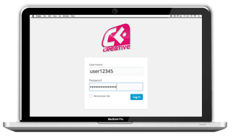 Login screen for WordPress CMS website